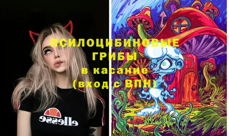 Галлюциногенные грибы Psilocybine cubensis  блэк спрут вход  Котельнич  купить наркотик 